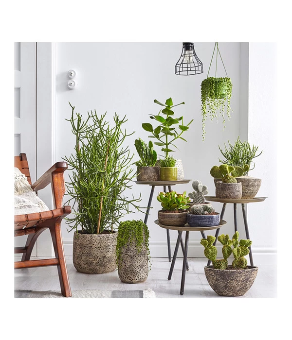 Dehner Keramik-Übertopf Stef, Bauchig, Braun, Ca. Ø25 Cm 5 Dehner Keramik-Übertopf Stef, Bauchig, Braun, Ca. Ø25 Cm – Bild 3