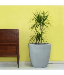 Farmet Kunststoff-Topf-Set Orione Alto, Rund, Grau, 2-teilig 10 Farmet Kunststoff-Topf-Set Orione Alto, Rund, Grau, 2-teilig -Pflanzenwelt Verkauf 4109179 WE DE 002 ORIONEALTOHoherRunderPflanzkuebelDurchmesser50cm50cmhochSTEINBEIGE