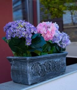 Roto Kunststoff-Pflanzkasten Planika, Rechteckig, Dunkelgrau, Ca. B49,5/H18,5/T20,5 Cm 6 Roto Kunststoff-Pflanzkasten Planika, Rechteckig, Dunkelgrau, Ca. B49,5/H18,5/T20,5 Cm -Pflanzenwelt Verkauf 4145769 WE MO 001 RotoKastenPlanika