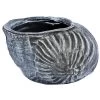 Roto Kunststoff-Pflanztopf Muschel, Grau, Ca. B40/H25,5/T30 Cm 2 Roto Kunststoff-Pflanztopf Muschel, Grau, Ca. B40/H25,5/T30 Cm -Pflanzenwelt Verkauf 4145843 WE FS 001 RotoTopfMuschel
