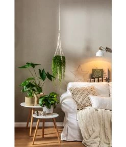 Dehner Makramee-Ampel 13 Dehner Makramee-Ampel -Pflanzenwelt Verkauf 4152484 PR MO 001 TopfFreshBraunGrau 4408951 4408977 4408985 4409132