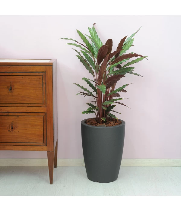 Farmet Kunststoff-Topf-Set Hydra, Konisch, Anthrazit, 2-teilig 4 Farmet Kunststoff-Topf-Set Hydra, Konisch, Anthrazit, 2-teilig – Bild 2