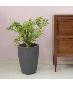 Farmet Kunststoff-Topf-Set Hydra, Konisch, Anthrazit, 2-teilig 10 Farmet Kunststoff-Topf-Set Hydra, Konisch, Anthrazit, 2-teilig -Pflanzenwelt Verkauf 4183653 WE DE 002 HYDRARunderPflanzkuebelDurchmesser36cm50cmhochDUNKELANTHRAZIT