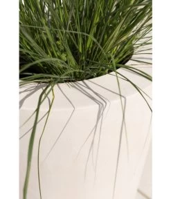 Fleur Ami Polystone-Pflanzgefäß Conical, Konisch, Ca. Ø43/H80 Cm 14 Fleur Ami Polystone-Pflanzgefäß Conical, Konisch, Ca. Ø43/H80 Cm -Pflanzenwelt Verkauf 4183984 WE DE 002 PolystPflgef43x80cmCreme