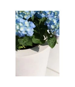 Fleur Ami Polystone-Pflanzgefäß Conical, Konisch, Ca. Ø43/H80 Cm 13 Fleur Ami Polystone-Pflanzgefäß Conical, Konisch, Ca. Ø43/H80 Cm -Pflanzenwelt Verkauf 4183984 WE MO 002 fleuramiPolystoneConicalPflanzgefaess43x80cmCreme