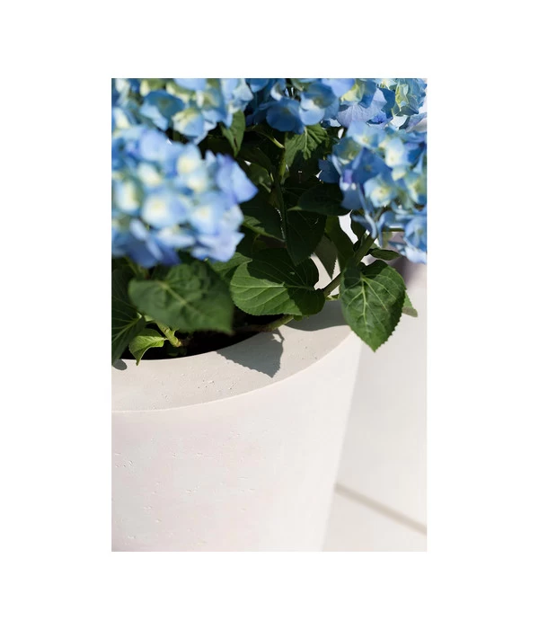 Fleur Ami Polystone-Pflanzgefäß Conical, Konisch, Ca. Ø43/H80 Cm 7 Fleur Ami Polystone-Pflanzgefäß Conical, Konisch, Ca. Ø43/H80 Cm – Bild 5