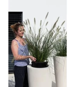 Fleur Ami Polystone-Pflanzgefäß Conical, Konisch, Ca. Ø43/H80 Cm 11 Fleur Ami Polystone-Pflanzgefäß Conical, Konisch, Ca. Ø43/H80 Cm -Pflanzenwelt Verkauf 4183984 WE MO 003 PolystPflgef43x80cmCreme