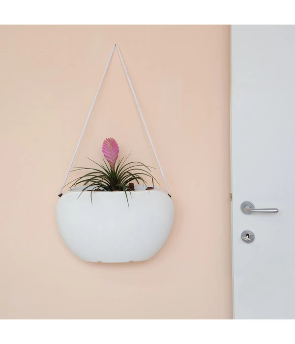 Farmet Kunststoff-Hängeampel Clio 5 Farmet Kunststoff-Hängeampel Clio – Bild 3