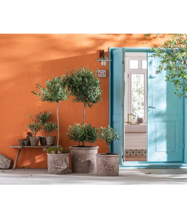 Dehner Terrakotta-Topf, Terrakotta-antik 5 Dehner Terrakotta-Topf, Terrakotta-antik – Bild 3