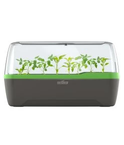 Romberg BoQube Gewächshaus 15 Romberg BoQube Gewächshaus -Pflanzenwelt Verkauf 4299970 WE FS 005 RombergGewaechshausZimmergewaechshausAnzucht