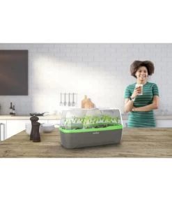 Romberg BoQube Gewächshaus 17 Romberg BoQube Gewächshaus -Pflanzenwelt Verkauf 4299970 WE MO 001 RombergGewaechshausZimmergewaechshausAnzucht