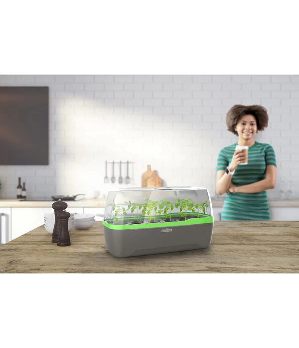 Romberg BoQube Gewächshaus 9 Romberg BoQube Gewächshaus – Bild 7