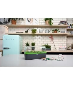 Romberg BoQube Gewächshaus 18 Romberg BoQube Gewächshaus -Pflanzenwelt Verkauf 4299970 WE MO 002 BoQubeGewaechshausZimmergewaechshaus