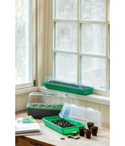 Romberg BoQube Gewächshaus 19 Romberg BoQube Gewächshaus -Pflanzenwelt Verkauf 4299970 WE MO 004 BoQubeZimmergewaechshaus 1