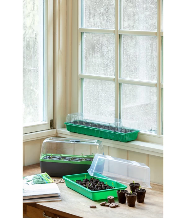 Romberg Zimmergewächshaus 5 Romberg Zimmergewächshaus – Bild 3