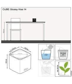 LECHUZA® CUBE Glossy, All-in-One Set -Pflanzenwelt Verkauf 4310470 4310462 4310454 WE DE 001 CubeGlossy14