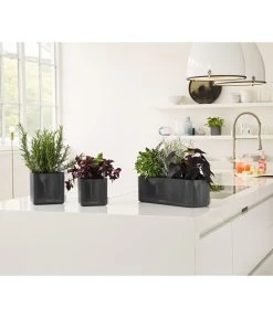 LECHUZA® CUBE Glossy, All-in-One Set -Pflanzenwelt Verkauf 4310470 PR MO 003 4310512CubeGlossyAnthrazit