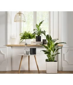 LECHUZA® CUBE Glossy, All-in-One Set -Pflanzenwelt Verkauf 4310496 PR MO 001 CubeGlossyAnthrazitWeissCubePremium