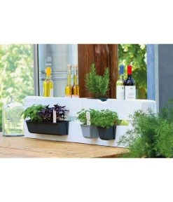 Geli Kunststoff-Pflanzkasten Easy 11 Geli Kunststoff-Pflanzkasten Easy -Pflanzenwelt Verkauf 4314415 4314472 4314530 WE MO 003 GeliKunststoffTopfEasyBlumentopfPflanztopfPalettentopf