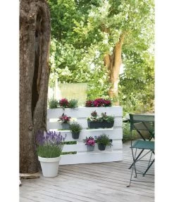 Geli Kunststoff-Pflanzkasten Easy 12 Geli Kunststoff-Pflanzkasten Easy -Pflanzenwelt Verkauf 4314415 4314472 4314530 WE MO 005 GeliKunststoffTopfEasyBlumentopfPflanztopfPalettentopf