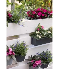 Geli Kunststoff-Pflanzkasten Easy 9 Geli Kunststoff-Pflanzkasten Easy -Pflanzenwelt Verkauf 4314415 4314472 4314530 WE MO 007 GeliKunststoffTopfEasyBlumentopfPflanztopfPalettentopf