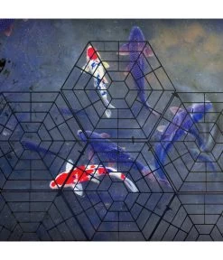 Gardigo Teichschutz 11 Gardigo Teichschutz -Pflanzenwelt Verkauf 4315362 WE MO 003 GardigoTeichschutz