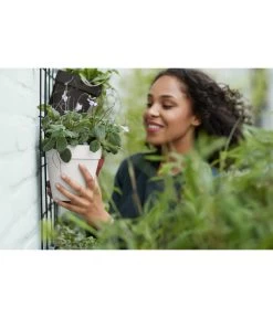 Elho Metall-Wandgitter Für Töpfe Loft Urban Green Wall Gestell, Ca. B47,3/H59/T1,5 Cm, Schwarz 36 Elho Metall-Wandgitter Für Töpfe Loft Urban Green Wall Gestell, Ca. B47,3/H59/T1,5 Cm, Schwarz -Pflanzenwelt Verkauf 4315917 4315677 WE MO 008 elhoMetallWandgitterWandhaengetopf