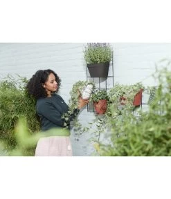 Elho Metall-Wandgitter Für Töpfe Loft Urban Green Wall Gestell, Ca. B47,3/H59/T1,5 Cm, Schwarz 24 Elho Metall-Wandgitter Für Töpfe Loft Urban Green Wall Gestell, Ca. B47,3/H59/T1,5 Cm, Schwarz -Pflanzenwelt Verkauf 4315917 WE MO 003 elhoMetallWandgitterfuerToepfeBlumentopfurbangardening