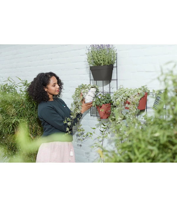 Elho Metall-Wandgitter Für Töpfe Loft Urban Green Wall Gestell, Ca. B47,3/H59/T1,5 Cm, Schwarz 5 Elho Metall-Wandgitter Für Töpfe Loft Urban Green Wall Gestell, Ca. B47,3/H59/T1,5 Cm, Schwarz – Bild 3