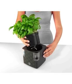 Dehner Kunststoff-Topf Mona, Eckig, Ca. B14/H14/T14 Cm 12 Dehner Kunststoff-Topf Mona, Eckig, Ca. B14/H14/T14 Cm -Pflanzenwelt Verkauf 4320743 PR FS 002 KunststoffTopfMonaGrau