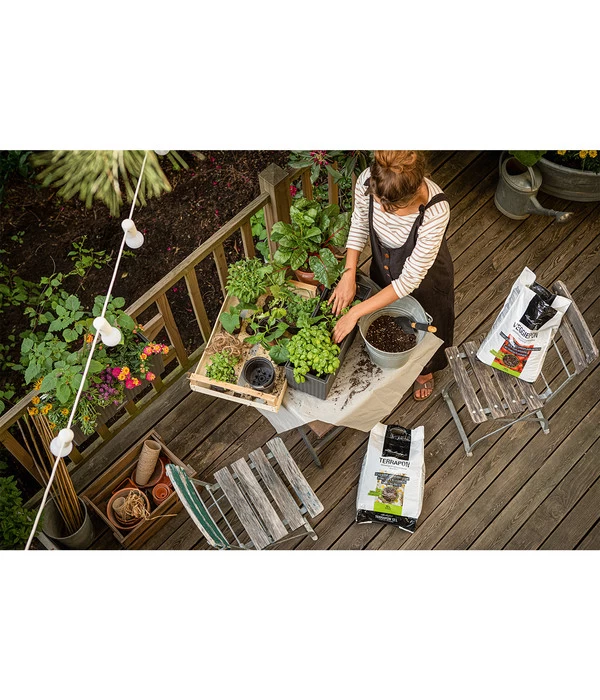 LECHUZA® VEGGIEPON Gemüsepflanzsubstrat 4 LECHUZA® VEGGIEPON Gemüsepflanzsubstrat – Bild 2