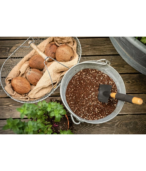 LECHUZA® VEGGIEPON Gemüsepflanzsubstrat 7 LECHUZA® VEGGIEPON Gemüsepflanzsubstrat – Bild 5