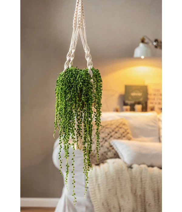 Dehner Makramee-Ampel 6 Dehner Makramee-Ampel – Bild 4