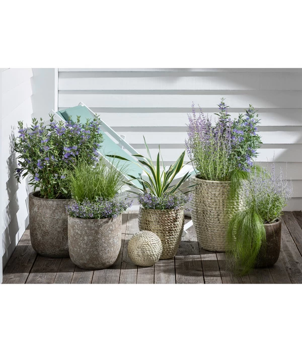 Dehner Keramik-Topf Bungxe, Meliert 4 Dehner Keramik-Topf Bungxe, Meliert – Bild 2