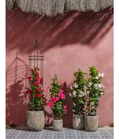 Dehner Keramik-Topf Bungxe, Meliert 8 Dehner Keramik-Topf Bungxe, Meliert -Pflanzenwelt Verkauf 4435640 4435665 4435673 WE MO 004 DehnerKeramikTopfBungxe