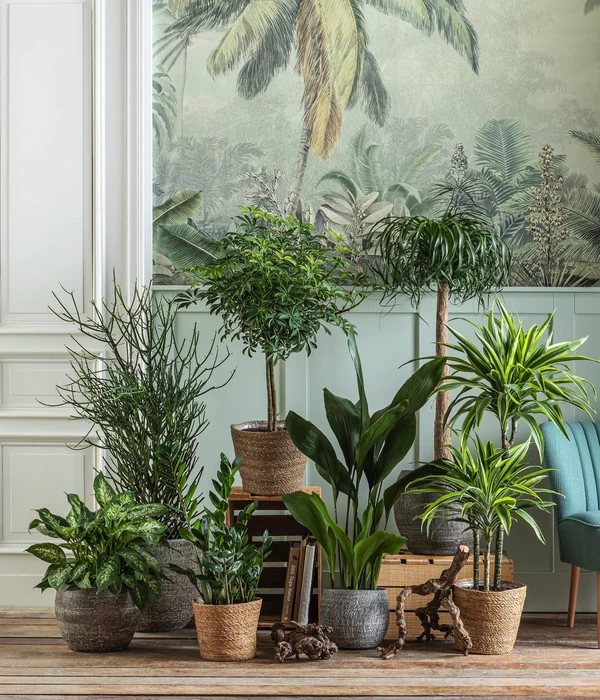 Dehner Seegras-Korb Igmar, Konisch 6 Dehner Seegras-Korb Igmar, Konisch – Bild 4