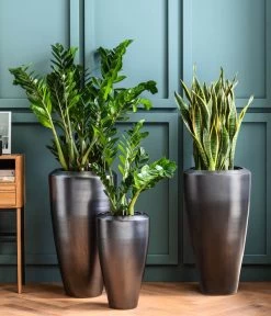 Dehner Keramik-Vase Lissabon Mit LECHUZA® Bewässerungssystem, Konisch 9 Dehner Keramik-Vase Lissabon Mit LECHUZA® Bewässerungssystem, Konisch -Pflanzenwelt Verkauf 4448833 4448858 4448841 WE MO 002 PflanzvaseLissabonAnthrazit