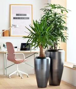 Dehner Keramik-Vase Lissabon Mit LECHUZA® Bewässerungssystem, Konisch 11 Dehner Keramik-Vase Lissabon Mit LECHUZA® Bewässerungssystem, Konisch -Pflanzenwelt Verkauf 4448833 WE MO 001 KeramikVaseLissabon