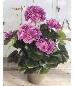 Kunstpflanze Geranie -Pflanzenwelt Verkauf 4463345 WE MO 001 Geranie33cmLila