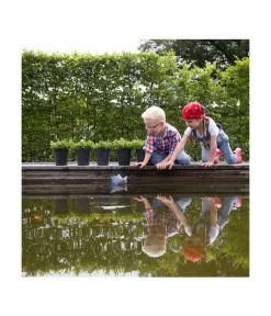 Artstone Kunststoff-Blumentopf Claire, Rund 9 Artstone Kunststoff-Blumentopf Claire, Rund -Pflanzenwelt Verkauf 5160395 WE MO 002 KunststoffTopfClaireschwarz