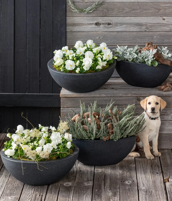 Dehner Kunststoff-Schale Miami, Oval, Anthrazit, Ca. B52/H20/T23 Cm 4 Dehner Kunststoff-Schale Miami, Oval, Anthrazit, Ca. B52/H20/T23 Cm – Bild 2