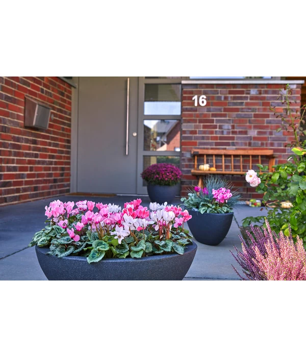 Dehner Kunststoff-Schale Miami, Oval, Anthrazit, Ca. B52/H20/T23 Cm 6 Dehner Kunststoff-Schale Miami, Oval, Anthrazit, Ca. B52/H20/T23 Cm – Bild 4