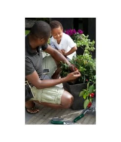 Artstone Kunststoff-Topf Ella 11 Artstone Kunststoff-Topf Ella -Pflanzenwelt Verkauf 5369905 WE MO 001 ArtstoneKunststoffBlumentopfEllaeckig