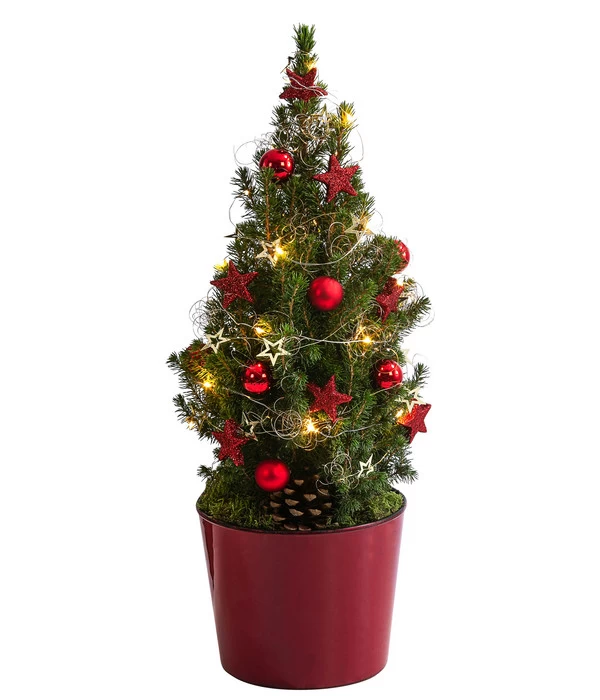 Geschmückter Weihnachtsbaum Antik, Mit Lichterkette, Ca. H50 Cm 2 Geschmückter Weihnachtsbaum Antik, Mit Lichterkette, Ca. H50 Cm