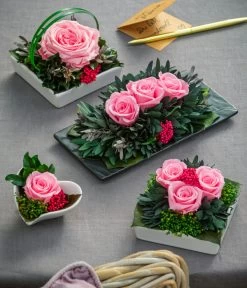 Dehner Arrangement Mit Longlife-Rose Cloe, Rosa, Ca. B19/H6/T10 Cm 7 Dehner Arrangement Mit Longlife-Rose Cloe, Rosa, Ca. B19/H6/T10 Cm -Pflanzenwelt Verkauf 6380927 6537641 6537716 6537708 WE MO 001 LonglifeArrangements