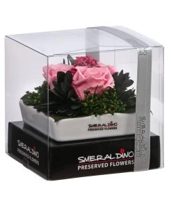 Dehner Keramik-Schale Mit Longlife-Rose Zina, Ca. B9,5/H6 Cm 6 Dehner Keramik-Schale Mit Longlife-Rose Zina, Ca. B9,5/H6 Cm -Pflanzenwelt Verkauf 6380927 WE FS 002 LLSchaleZinaROSA