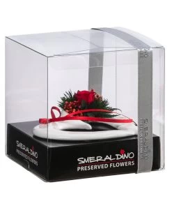 Dehner Keramik-Herz Mit Longlife-Rose Evelin, Ca. B11,5/H3 Cm -Pflanzenwelt Verkauf 6380935 WE FS 003 LLHerzEvelinROT