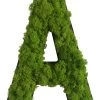 StyleGREEN Buchstaben Aus Islandmoos, Ca. H25 Cm -Pflanzenwelt Verkauf 6429435 WE FS 001 BuchstabeIslandmoosA