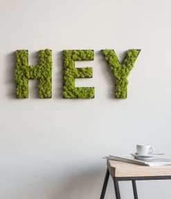 StyleGREEN Buchstaben Aus Islandmoos, Ca. H25 Cm -Pflanzenwelt Verkauf 6429435 WE MO 003 BuchstabenIslandmoosHey