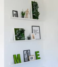 StyleGREEN Buchstaben Aus Islandmoos, Ca. H25 Cm -Pflanzenwelt Verkauf 6429435 WE MO 004 BuchstabenIslandmoosimRegal